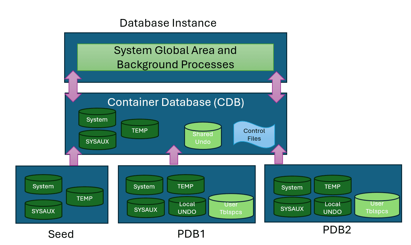 A diagram of a database
Description automatically generated